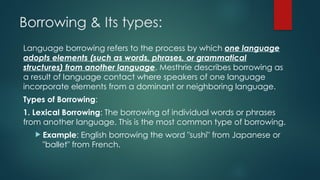 Language Contact slides for sociololinguistics | PPTX