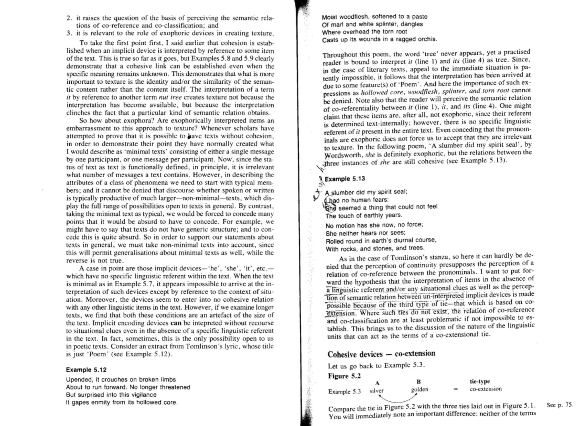 Language Context and Text - Halliday and Hasan.doc