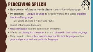 PERCEIVING SPEECH
• Newborn’s left brain hemisphere – sensitive to language
• Phonemes – unique sounds to create words; the basic building
blocks of language
– Ex: Sound of b and p (“ buh” and “puh”)
Impact of Language Exposure
• Not all language have the same set of phonemes.
• Infants can distinguish phonemes that are not used in their native language.
• They begin to notice only phonemes important to their language as they
grow and get exposed to a particular language.
 