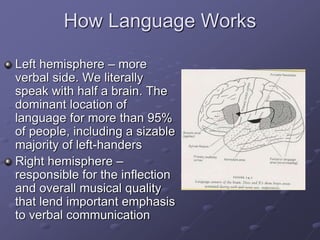 How Language Works
Left hemisphere – more
verbal side. We literally
speak with half a brain. The
dominant location of
language for more than 95%
of people, including a sizable
majority of left-handers
Right hemisphere –
responsible for the inflection
and overall musical quality
that lend important emphasis
to verbal communication
 