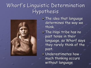 Whorf’s Linguistic Determination
Hypothesis
The idea that language
determines the way we
think.
The Hopi tribe has no
past tense in their
language, so Whorf says
they rarely think of the
past.
Underestimates how
much thinking occurs
without language
 