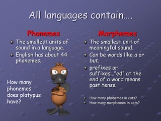 All languages contain….
Phonemes
The smallest units of
sound in a language.
English has about 44
phonemes.
Morphemes
The smallest unit of
meaningful sound.
Can be words like a or
but.
prefixes or
suffixes…”ed” at the
end of a word means
past tense
How many phonemes in cats?
How many morphemes in cats?
How many
phonemes
does platypus
have?
 