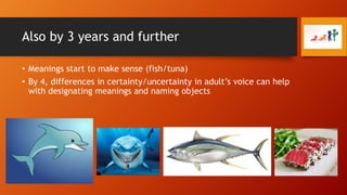 Also by 3 years and further
• Meanings start to make sense (fish/tuna)
• By 4, differences in certainty/uncertainty in adult’s voice can help
with designating meanings and naming objects

 