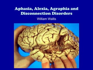 Aphasia, Alexia, Agraphia and Disconnection Disorders William Wallis 