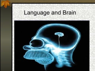 Language and Brain
 