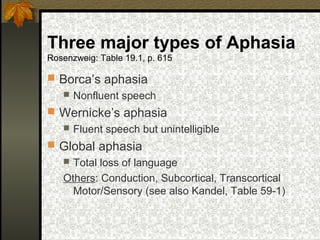 Three major types of Aphasia
Rosenzweig: Table 19.1, p. 615
 Borca’s aphasia
 Nonfluent speech
 Wernicke’s aphasia
 Fluent speech but unintelligible
 Global aphasia
 Total loss of language
Others: Conduction, Subcortical, Transcortical
Motor/Sensory (see also Kandel, Table 59-1)
 