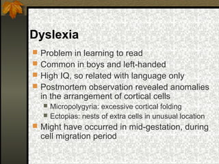 Dyslexia
 Problem in learning to read
 Common in boys and left-handed
 High IQ, so related with language only
 Postmortem observation revealed anomalies
in the arrangement of cortical cells
 Micropolygyria: excessive cortical folding
 Ectopias: nests of extra cells in unusual location
 Might have occurred in mid-gestation, during
cell migration period
 