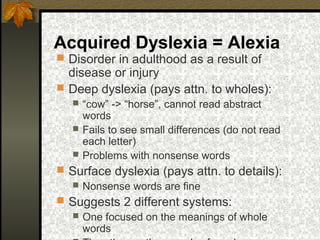 Acquired Dyslexia = Alexia
 Disorder in adulthood as a result of
disease or injury
 Deep dyslexia (pays attn. to wholes):
 “cow” -> “horse”, cannot read abstract
words
 Fails to see small differences (do not read
each letter)
 Problems with nonsense words
 Surface dyslexia (pays attn. to details):
 Nonsense words are fine
 Suggests 2 different systems:
 One focused on the meanings of whole
words
 