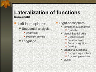 Lateralization of functions
(approximate)
 Left-hemisphere:
 Sequential analysis
 Analytical
 Problem solving
 Language
 Right-hemisphere:
 Simultaneous analysis
 Synthetic
 Visual-Spatial skills
 Cognitive maps
 Personal space
 Facial recognition
 Drawing
 Emotional functions
 Recognizing emotions
 Expressing emotions
 Music
 