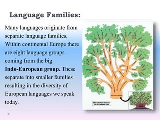 Language Families:
Many languages originate from
separate language families.
Within continental Europe there
are eight language groups
coming from the big
Indo-European group. These
separate into smaller families
resulting in the diversity of
European languages we speak
today.
 