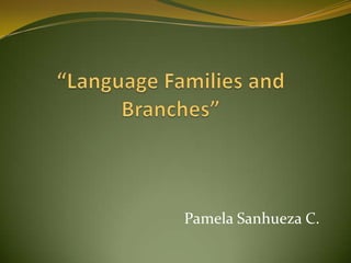 Pamela Sanhueza C.
 