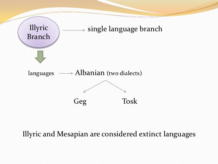 Language families and branches