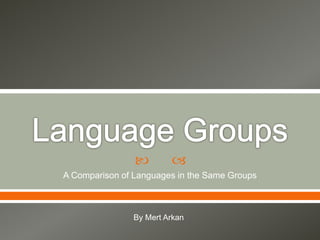   
A Comparison of Languages in the Same Groups 
By Mert Arkan 
 