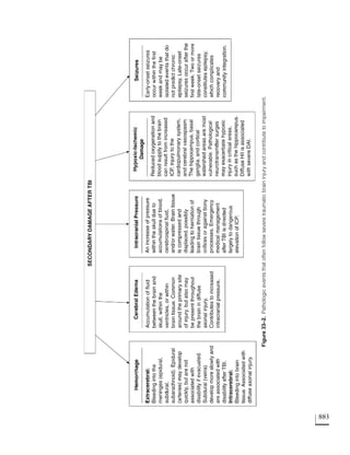 Language_Intervention_Strategies.pdf