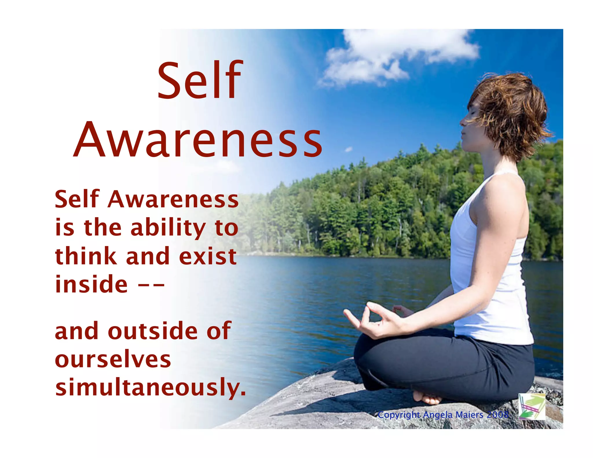 Self
 Awareness
Self Awareness
is the ability to
think and exist
inside --
and outside of
ourselves
simultaneously.
                    Copyright Angela Maiers 2008
 