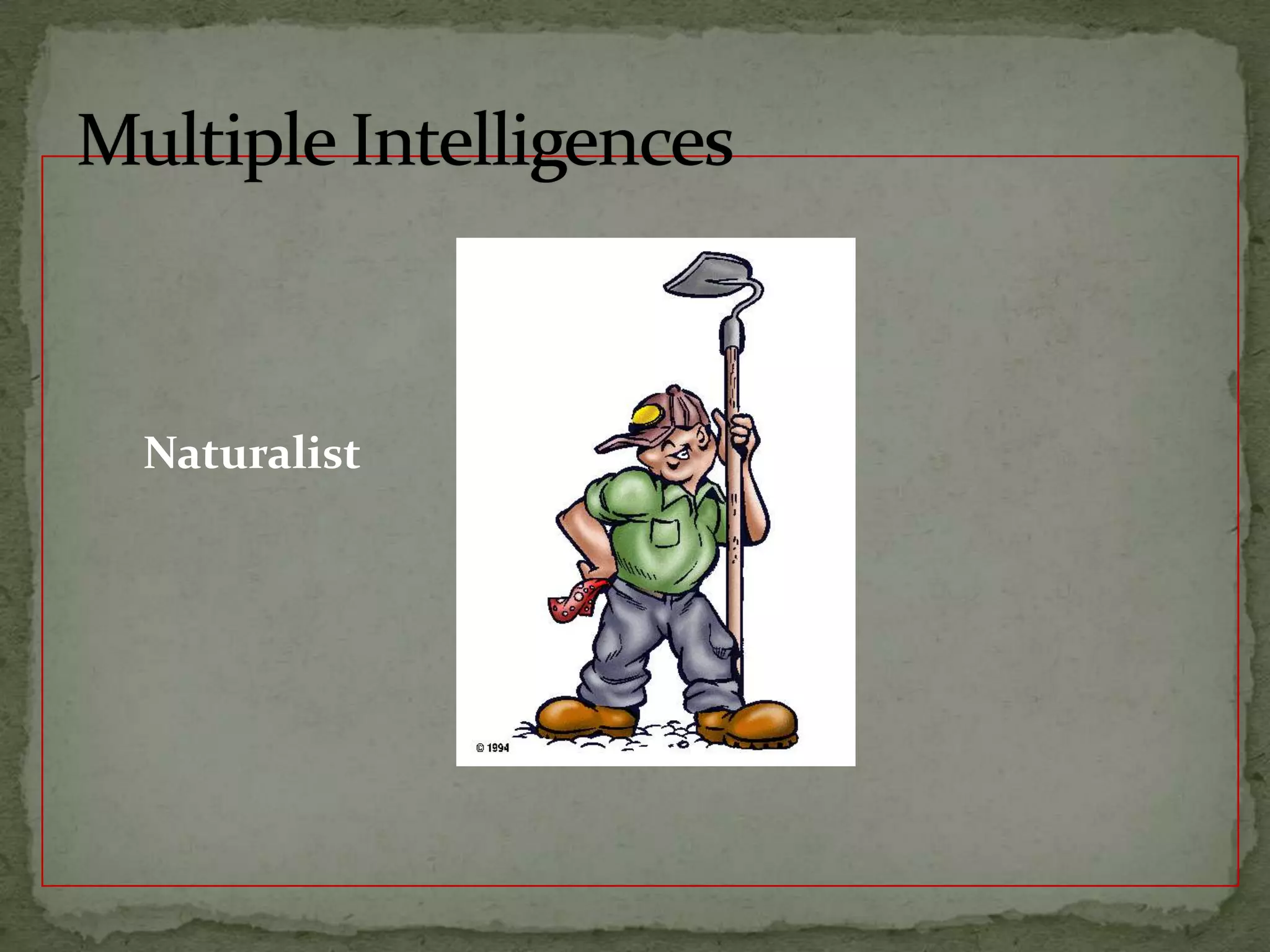         Naturalist		Multiple Intelligences