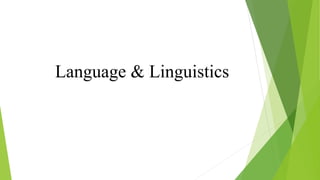 Language & Linguistics
 