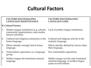 Cultural Factors
 