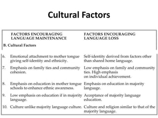 Cultural Factors
 