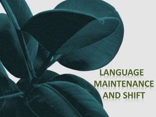 LANGUAGE
MAINTENANCE
AND SHIFT
 