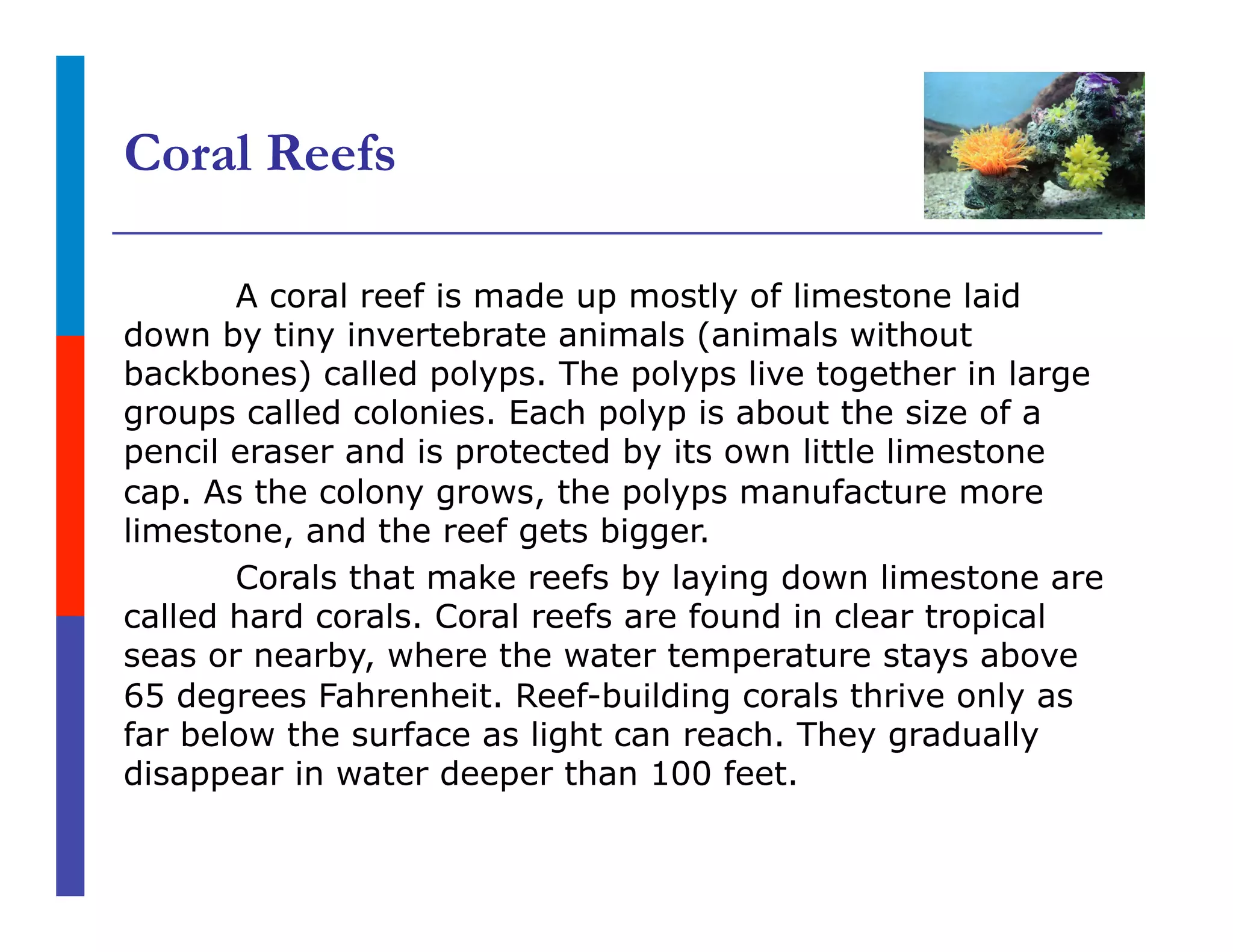 Coral Reefs
A coral reef is made up mostly of limestone laid
down by tiny invertebrate animals (animals without
backbones) called polyps. The polyps live together in large
groups called colonies. Each polyp is about the size of a
pencil eraser and is protected by its own little limestone
cap. As the colony grows, the polyps manufacture more
limestone, and the reef gets bigger.
Corals that make reefs by laying down limestone are
called hard corals. Coral reefs are found in clear tropical
seas or nearby, where the water temperature stays above
65 degrees Fahrenheit. Reef-building corals thrive only as
far below the surface as light can reach. They gradually
disappear in water deeper than 100 feet.
 
