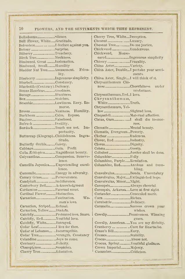 The Language and Poetry of Flowers