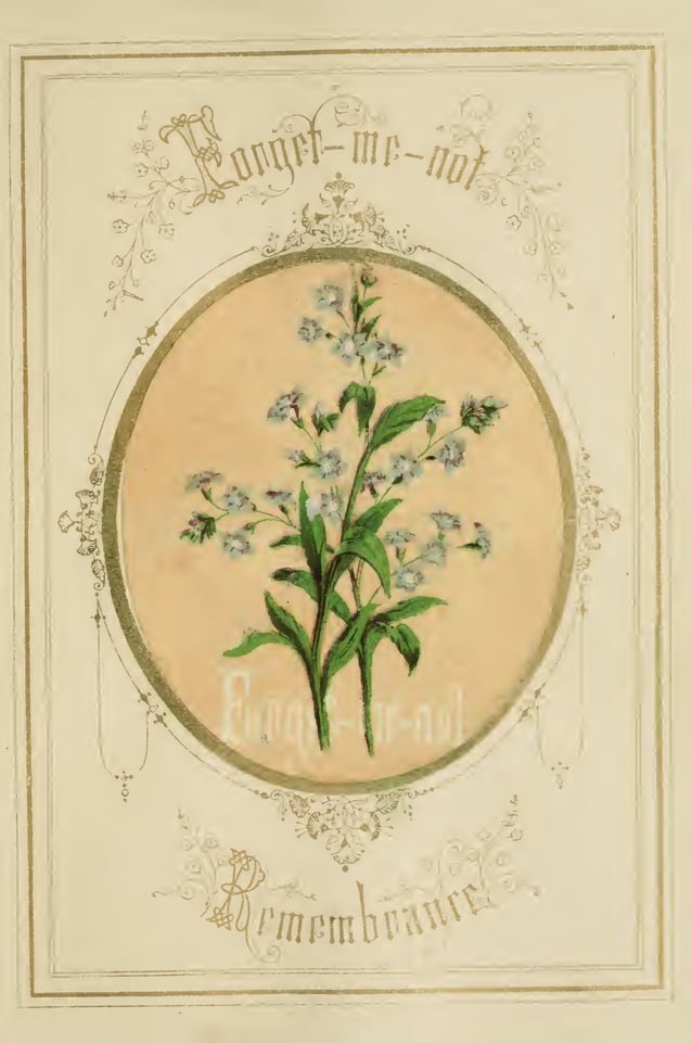 The Language and Poetry of Flowers