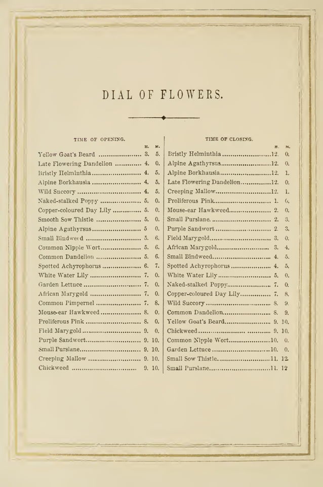 The Language and Poetry of Flowers