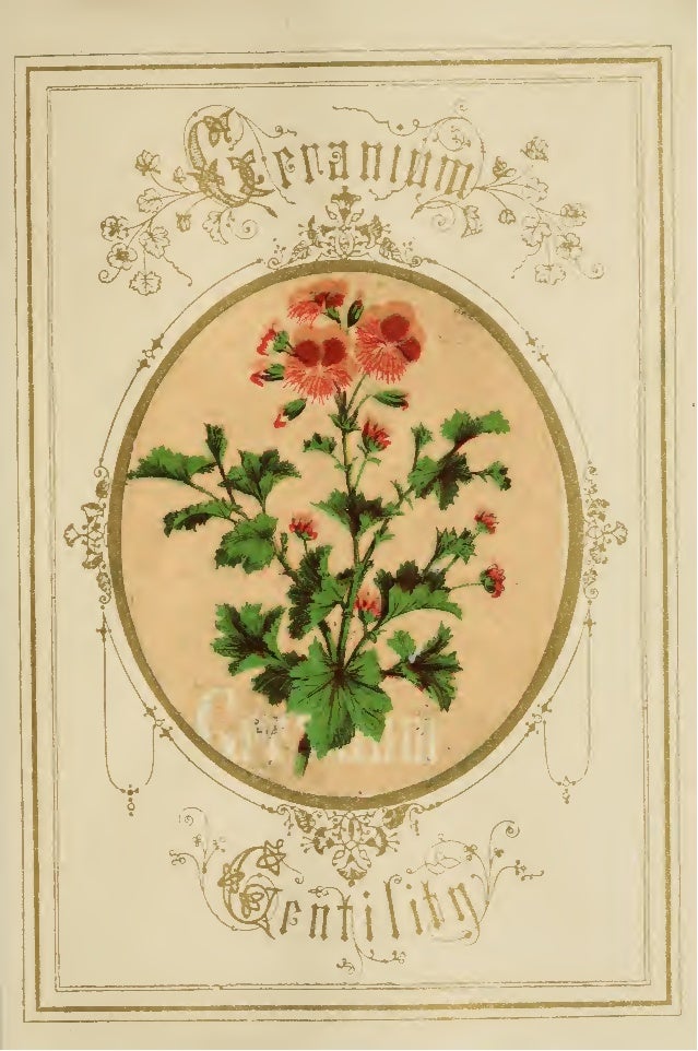 The Language and Poetry of Flowers