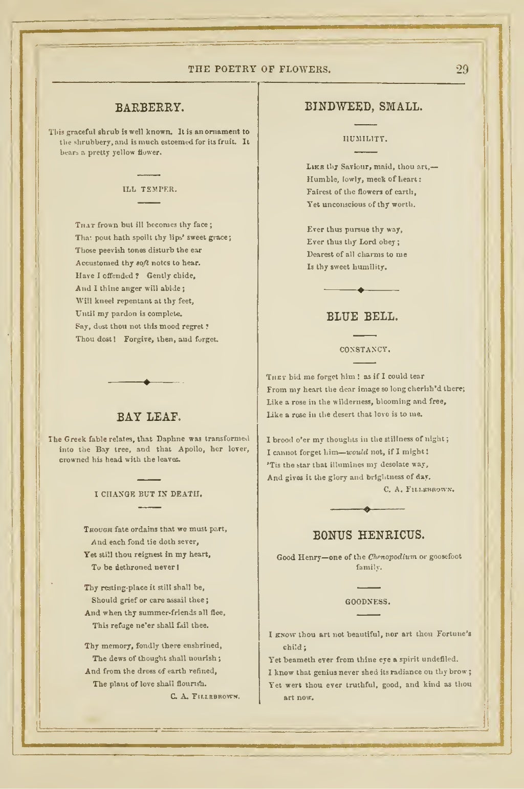 The Language and Poetry of Flowers