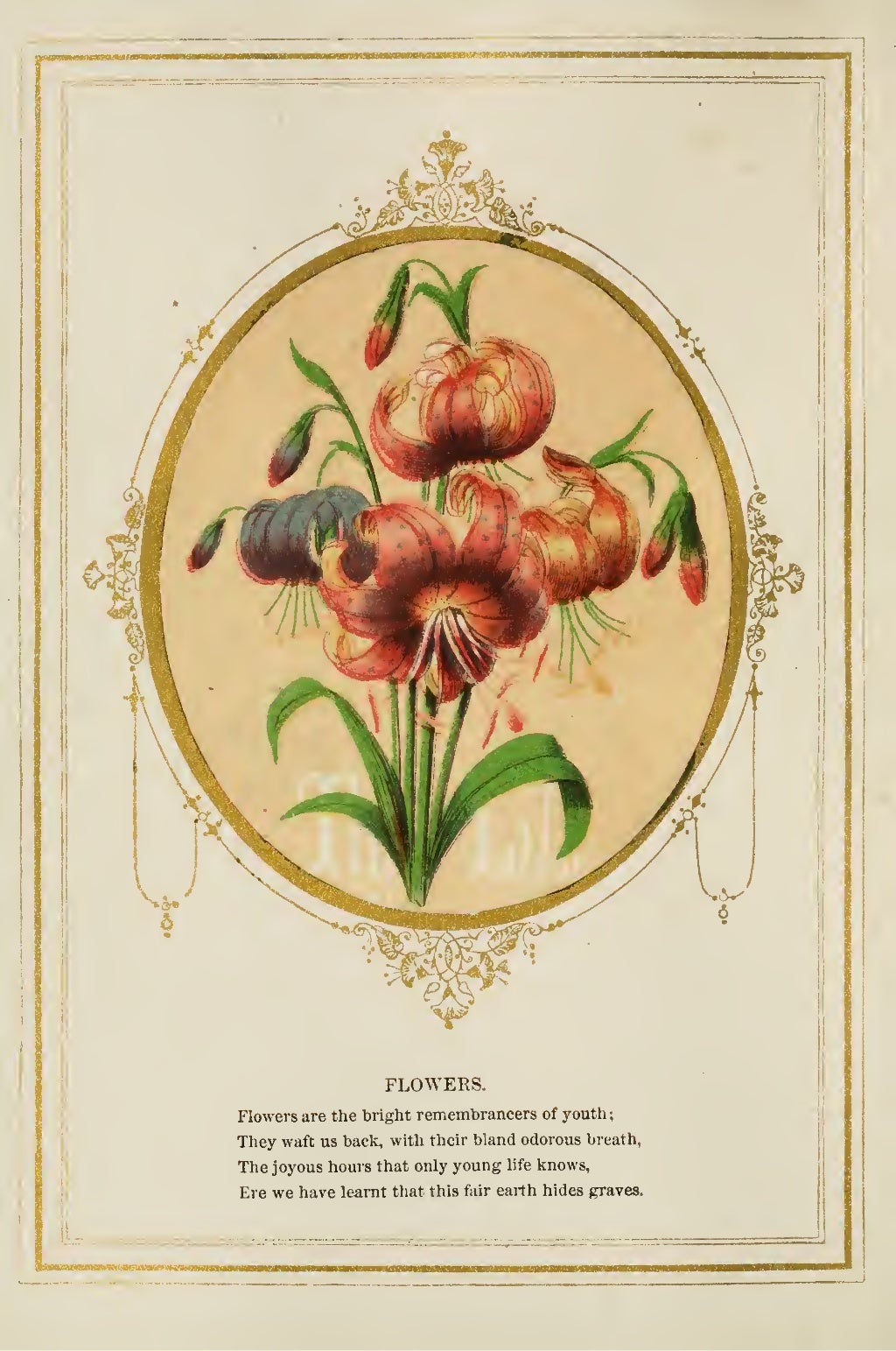 The Language and Poetry of Flowers