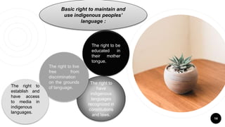 14
The right to be
educated in
their mother
tongue.
The right to
have
indigenous
languages
recognized in
constitutions
and laws.
The right to live
free from
discrimination
on the grounds
of language.The right to
establish and
have access
to media in
indigenous
languages.
Basic right to maintain and
use indigenous peoples’
language :
 