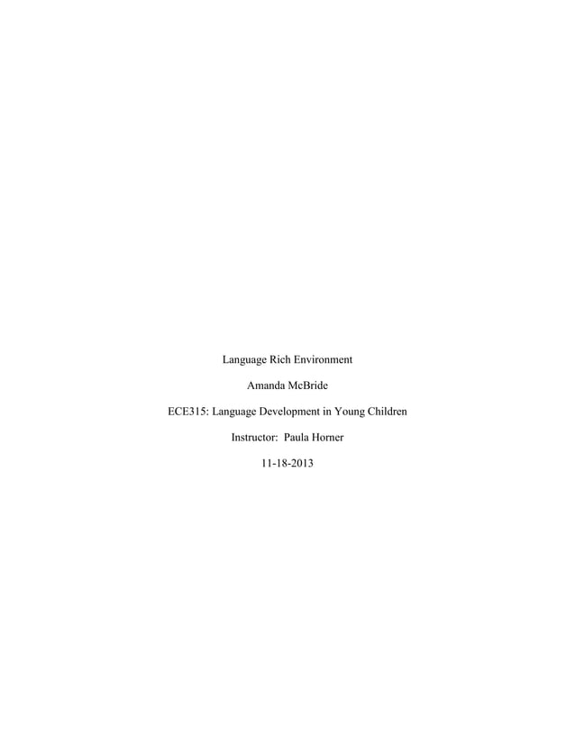Language Rich Environment Doc
