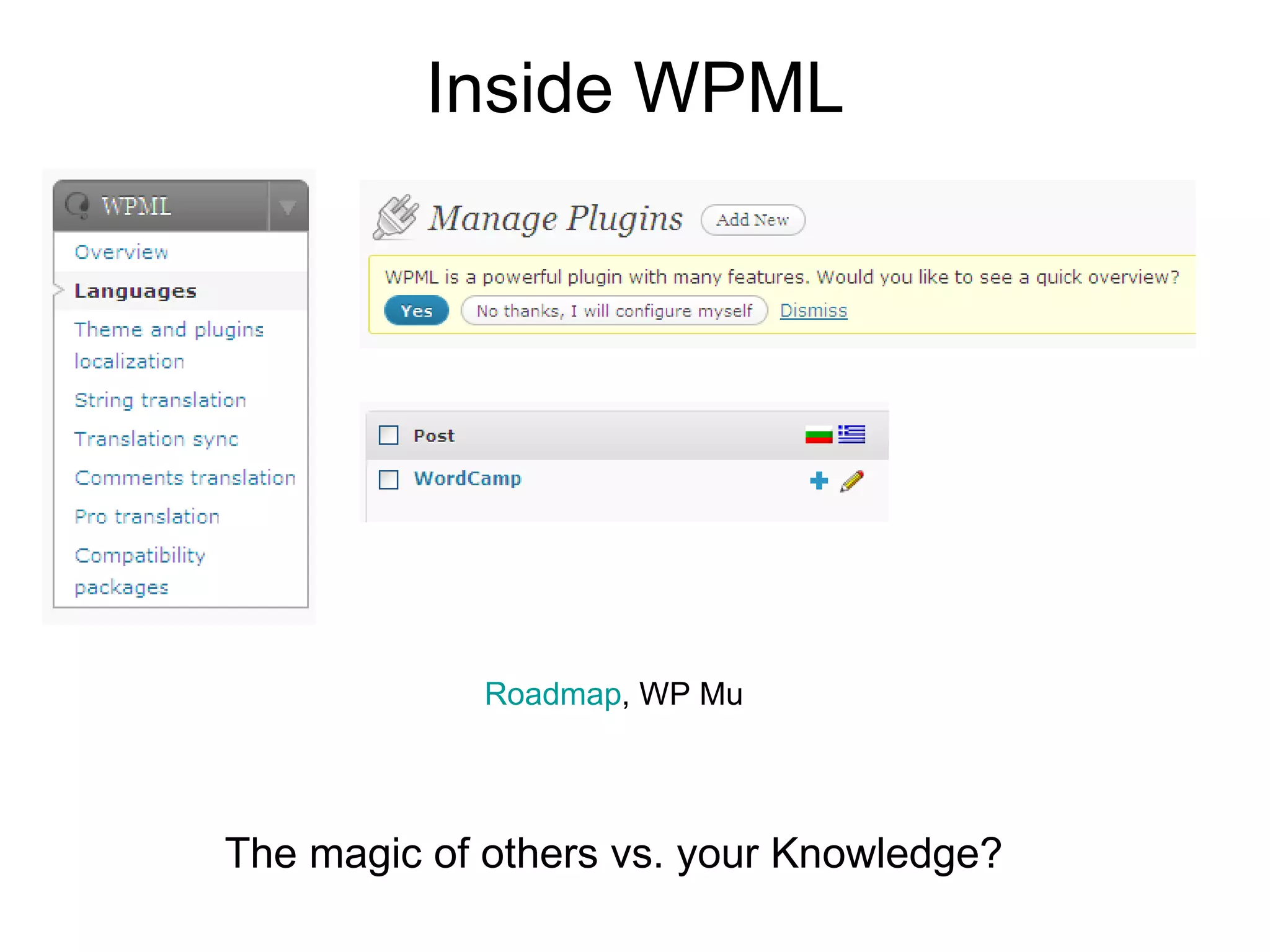 Inside WPML Roadmap , WP Mu The magic of others vs. your Knowledge?