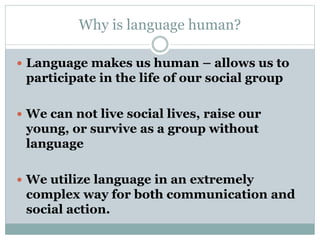 Why is language human?
 Language makes us human – allows us to
participate in the life of our social group
 We can not live social lives, raise our
young, or survive as a group without
language
 We utilize language in an extremely
complex way for both communication and
social action.
 