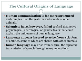 The Cultural Origins of Language
 Human communication is far more structured
and complex than the gestures and sounds of other
animals.
 Scientists have, however, failed to find distinctive
physiological, neurological or genetic traits that could
explain the uniqueness of human language.
 Language appears instead to arise from a platform
of abilities, some of which are shared with other animals.
 human language may arise from culture: the repeated
transmission of speech through many generations.
 