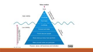 Languages SEDA panel contribution 03.07.20