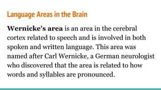 Language Areas in the Brain
Wernicke's area is an area in the cerebral
cortex related to speech and is involved in both
spoken and written language. This area was
named after Carl Wernicke, a German neurologist
who discovered that the area is related to how
words and syllables are pronounced.
 