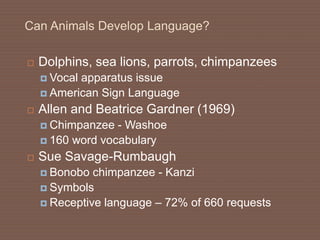 Can Animals Develop Language?
 Dolphins, sea lions, parrots, chimpanzees
 Vocal apparatus issue
 American Sign Language
 Allen and Beatrice Gardner (1969)
 Chimpanzee - Washoe
 160 word vocabulary
 Sue Savage-Rumbaugh
 Bonobo chimpanzee - Kanzi
 Symbols
 Receptive language – 72% of 660 requests
 