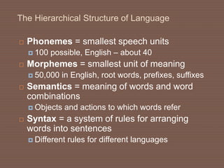 The Hierarchical Structure of Language
 Phonemes = smallest speech units
 100 possible, English – about 40
 Morphemes = smallest unit of meaning
 50,000 in English, root words, prefixes, suffixes
 Semantics = meaning of words and word
combinations
 Objects and actions to which words refer
 Syntax = a system of rules for arranging
words into sentences
 Different rules for different languages
 