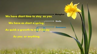 We have short time to stay, as you,
We have as short a spring;
As quick a growth to meet decay,
As you, or anything.
Metaphor
Simile
Assonance
 