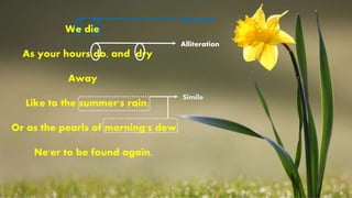 We die
As your hours do, and dry
Away
Like to the summer's rain;
Or as the pearls of morning's dew,
Ne'er to be found again.
Alliteration
Simile
Assonance
 