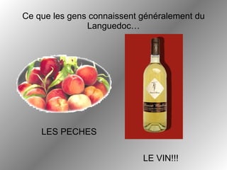 Ce que les gens connaissent généralement du Languedoc… LE VIN!!! LES PECHES 