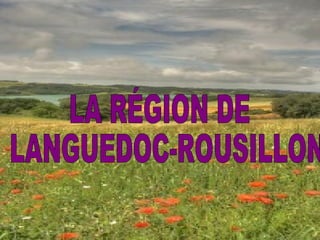 LA RÉGION DE LANGUEDOC-ROUSILLON 