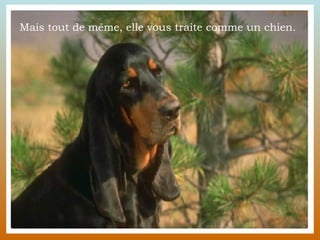 Mais tout de même, elle vous traite comme un chien.  