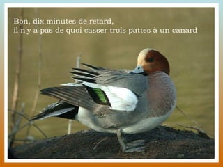 Bon, dix minutes de retard,  il n'y a pas de quoi casser trois pattes à un canard  