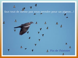 faut tout de même pas vous prendre pour un pigeon...! Fin de l’histoire 