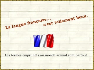 La langue française... c'est tellement beau. Les termes empruntés au monde animal sont partout. 