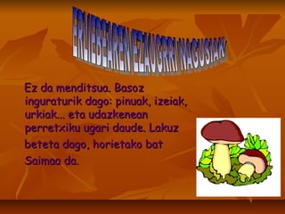   Ez da menditsua. Basoz inguraturik dago: pinuak, izeiak, urkiak... eta udazkenean perretxiku ugari daude. Lakuz  beteta dago, horietako bat  Saimaa da. ERLIEBEAREN EZAUGRRI NAGUSIAK 