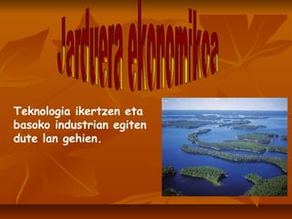 Teknologia ikertzen eta basoko industrian egiten dute lan gehien. Jarduera ekonomikoa 